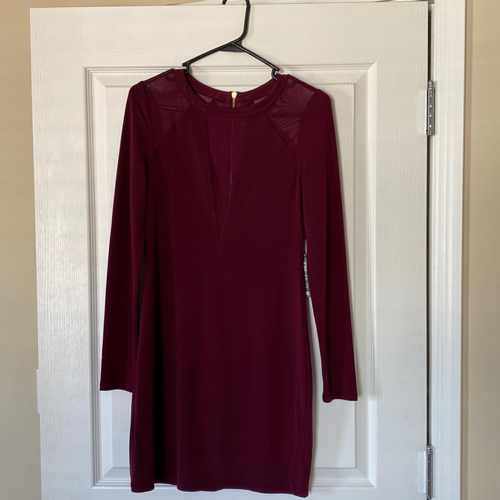 Express Burgundy Dress with Mesh Cutouts